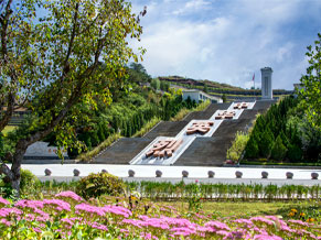 树葬服务地点及环境介绍